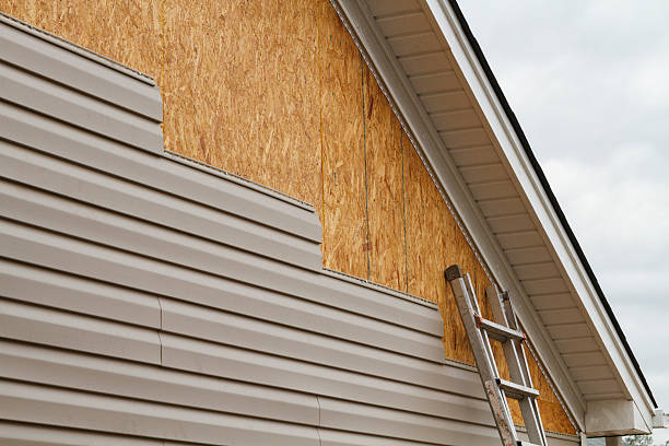 Professional Siding Replacement technician working in Homeland, GA